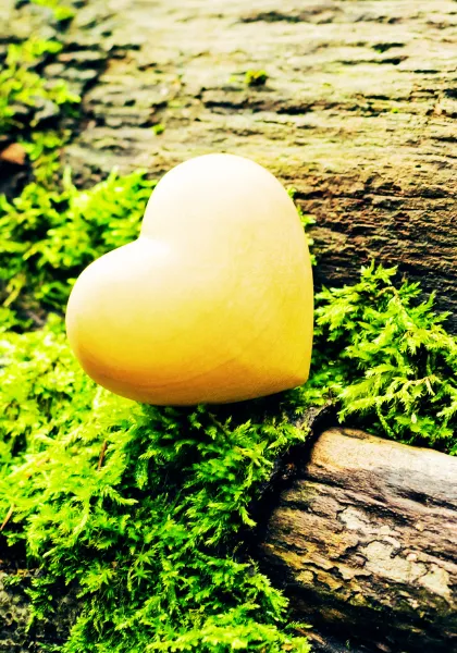 Descubre el Camino del Bienestar: De Febrero a Abril con Portal Centro Luz. Embárcate en un viaje transformador comenzando con el cultivo del amor propio en febrero. En marzo, cuida tu bienestar físico y mental con prácticas y consejos. En abril, conecta con la naturaleza para mejorar tu salud emocional y física.