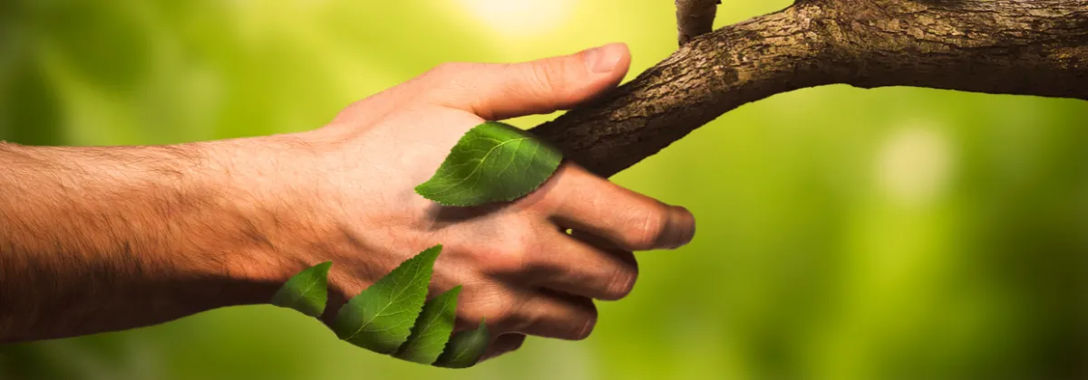 La naturaleza posee energías revitalizantes que pueden impactar positivamente nuestro bienestar. Desde el sonido del mar hasta el viento en la montaña, cada elemento tiene su propia energía. Sincronizar nuestras energías con la naturaleza es clave para alcanzar un equilibrio interno. Al conectarnos con la naturaleza, participamos en su ciclo de renovación y cambio, lo que mejora nuestra salud mental y emocional.